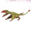 1 Pterodáctilo Plástico Decoração 5