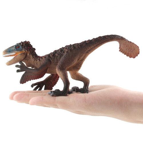 1 Kentrosaurus PVC Educativo Crianças 2