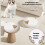 Timer Controlled Cats Feeder Automatic Design Refrigerated 6