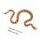 2Pcs Realistic Snake Figurine Simulation Animal Model 2