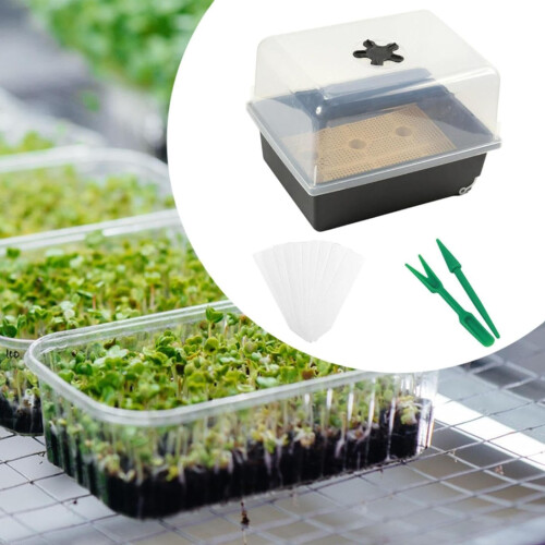Professional Germination Tray Scientific Design for Home School 1