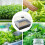 Professional Germination Tray Scientific Design for Home School 4