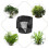 Couverture de protection Durable pour plantes,-Noir 45X70cm 3