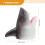 Set Rimbalzo Bambini Forma Cartone 3