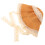 Summer Sun Hat Headwear Beach Sun Visor Beige Straw 11
