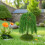 6Pcs Mini Willow Trees For Sand Table And Architecture Models 7