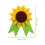 Set Kit Da Te Per Bambini Con Stoffa 2