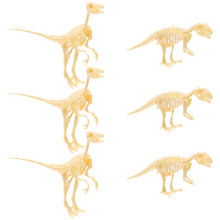 24 Sztuki Szkielety Dinozaurów Edukacyjna Do Montażu