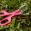 10pack Long Handle Scorpions Grabber Fly Trappers-black 6