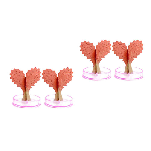 4 Sets Kristallwachstums-Garten Herzförmiger DIY Paar- 2