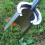 Plant Transplant Tool Effective Transplanter Aid for Home and 5