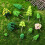 55 Stuks Mini Kunstbomen Voor DIY Bouwmodel Landschap 7