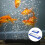 Long Fish Tanks Bubble Discs Quiet Operations Durability-S 2