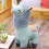 De Alpaca Peluche Animal Dibujos 6
