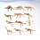 24Pcs Barns Dinosaurie Skelett Leksak Set 7