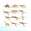 24Pcs Barns Dinosaurie Skelett Leksak Set 6