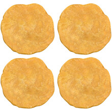 4Pcs Creative Egypt Nummulites Sample Science Teaching Material