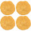 4Pcs Creative Egypt Nummulites Sample Science Teaching Material 1