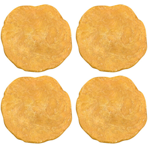 4Pcs Creative Egypt Nummulites Sample Science Teaching Material