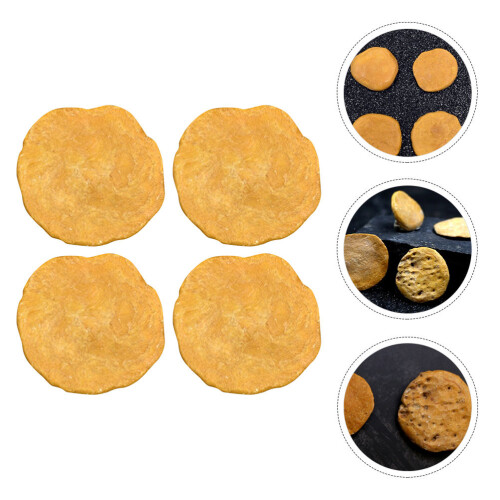 4Pcs Creative Egypt Nummulites Sample Science Teaching Material 2