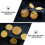 4Pcs Creative Egypt Nummulites Sample Science Teaching Material 10