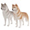 6 Decorazione Tavolo a Forma Cane Husky 1