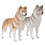 6 Decorazione Tavolo a Forma Cane Husky 10