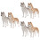 6 Decorazione Tavolo a Forma Cane Husky 6