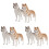 6 Decorazione Tavolo a Forma Cane Husky 2