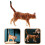 Jouet Animal Factice Chat Mignon Éducatif Décoration 4