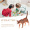 Jouet Animal Factice Chat Mignon Éducatif Décoration 11