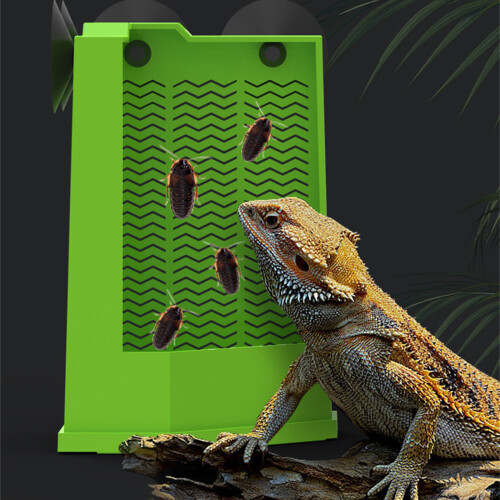 Suction Cup Reptiles Feeder ABS Corner Feeding Dish For-L 2