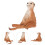 Simulation Meerkat Modell Plast Figur För Utbildning 8