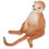 Simulation Meerkat Modell Plast Figur För Utbildning 5