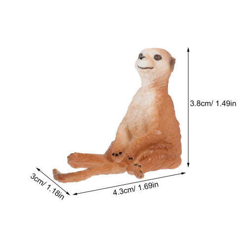 Simulation Meerkat Modell Plast Figur För Utbildning 2