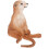 Simulation Meerkat Modell Plast Figur För Utbildning 11