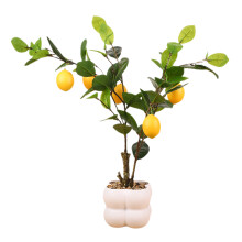 Artificial Fruit Tree Bonsais Potted Plant Decoration for-lemon