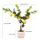 Realistic Fruit Tree Sculpture for Home-orange tree 2 4