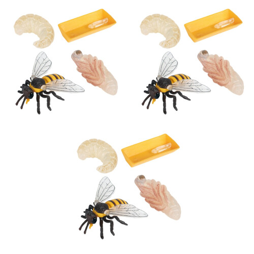3 Set Da 4 Ciclo Dell'Ape Giocattoli Educativi Per Bambini 2