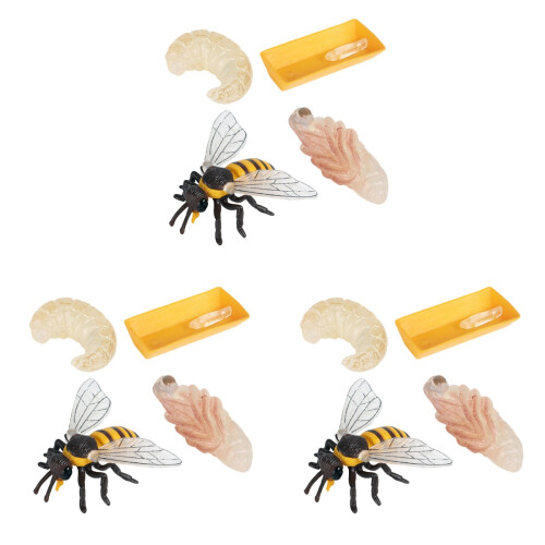 3 Set Da 4 Ciclo Dell'Ape Giocattoli Educativi Per Bambini 1