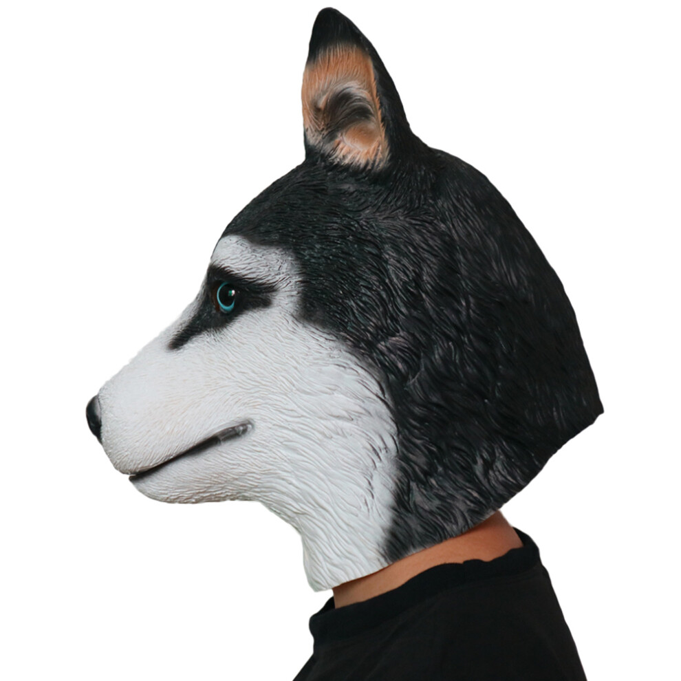 Psiego ŁEbka Z Latexu, Kostium Imprezę – Losowe-image