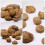 1St Seeigel Paläontologie Lehrmaterial 5