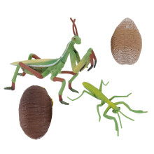 1 Set Grasshopper Figurine Crafts Mantis Model Assorted Colors