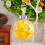 Clear Acrylics Balls Hanging Ornament Spring Holiday-Type B 6
