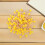 100Pcs 0.6" Round Sponge Paint Brushes With Wood Handle For Diy Crafts 7