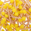 100Pcs 0.6" Round Sponge Paint Brushes With Wood Handle For Diy Crafts 8