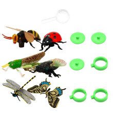 Kinder Wissenschaftliches Lernen Insekten Modell Kognitives Spielzeug
