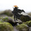 4Pcs Mini Action Figures For Micro Landscape Decoration 6