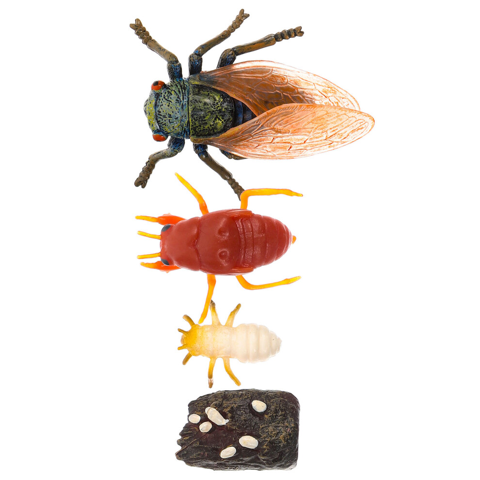 2 Zestawy Symulowanego Cyklu ŻYcia Cykady, Sztuczne Dla Dzieci-image