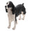 5 Unidades Cão Spaniel Resina Para Decoração E Brinquedo 1